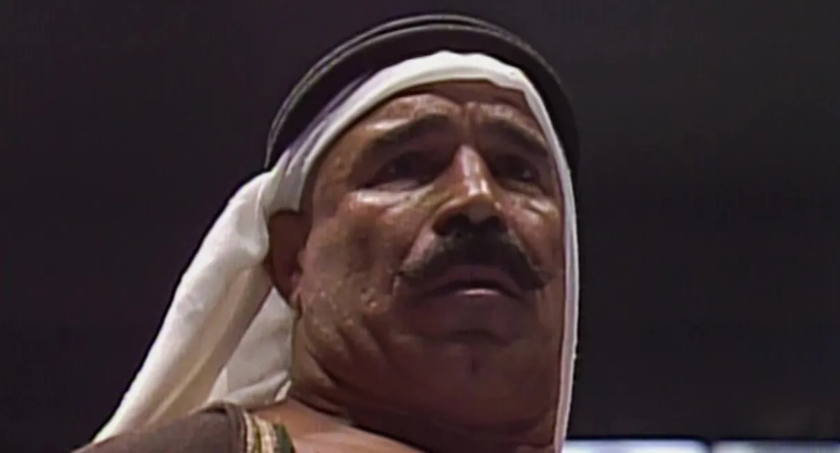 Villains of the Squared Circle