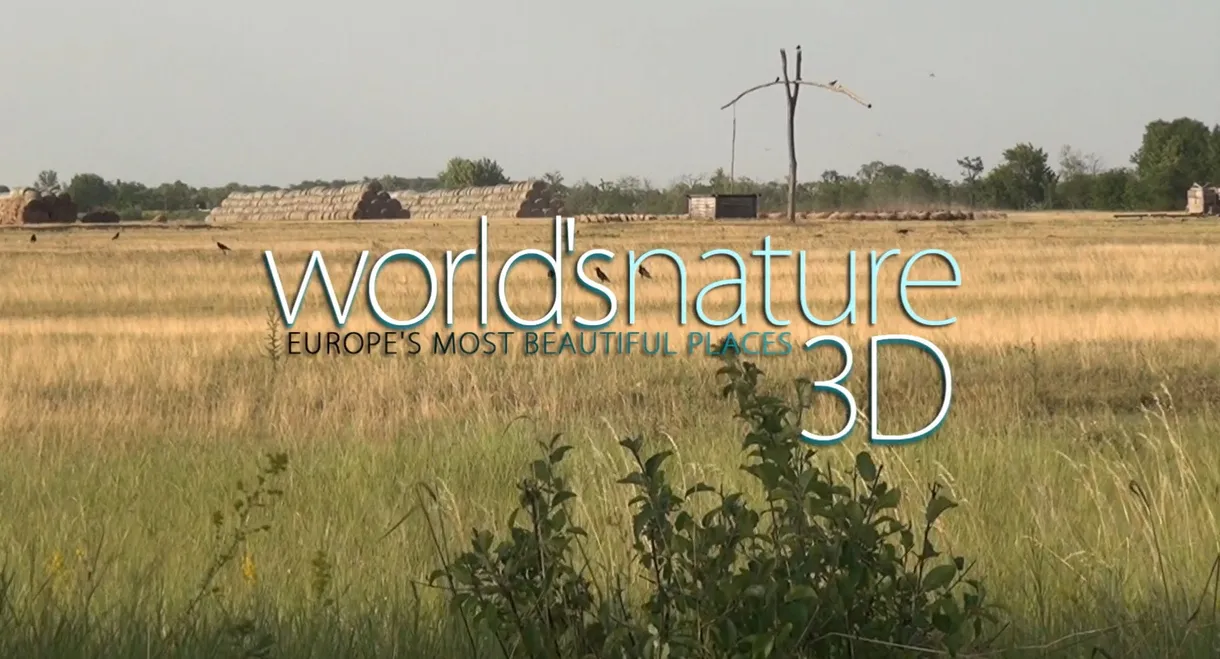World's Nature 3D