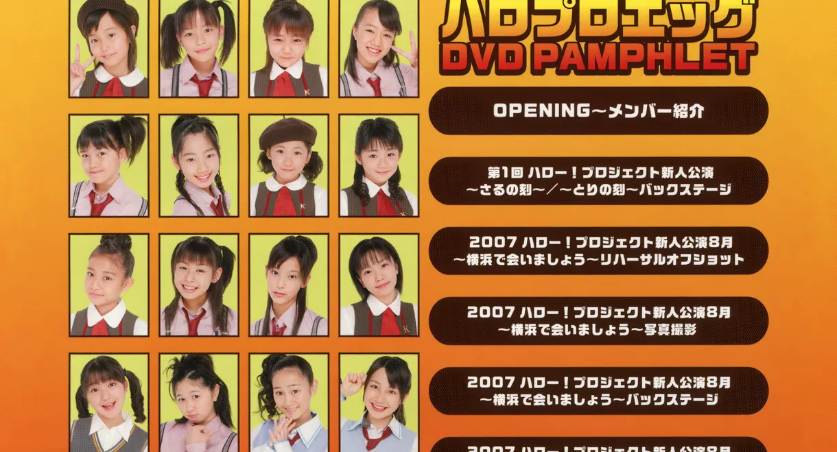 Hello Pro Egg DVD Pamphlet