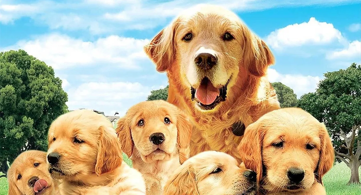 The Retrievers