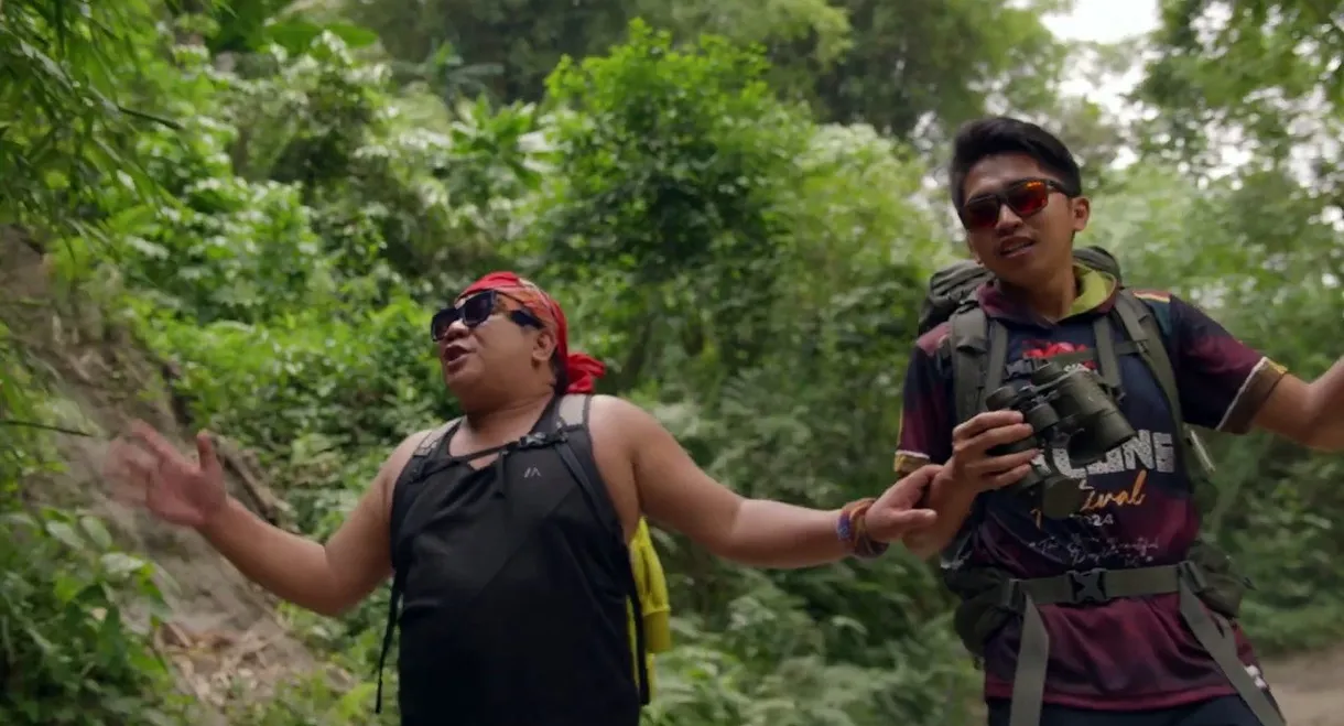 The Mayan Forest: When a Tapir Gazes Upon You