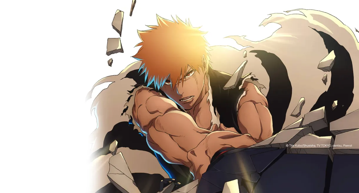 Bleach: Thousand-Year Blood War – The Calamity