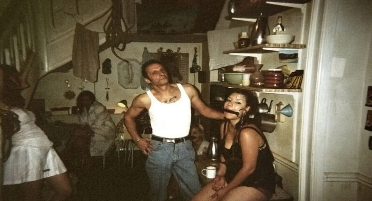 The Silvana Experiments