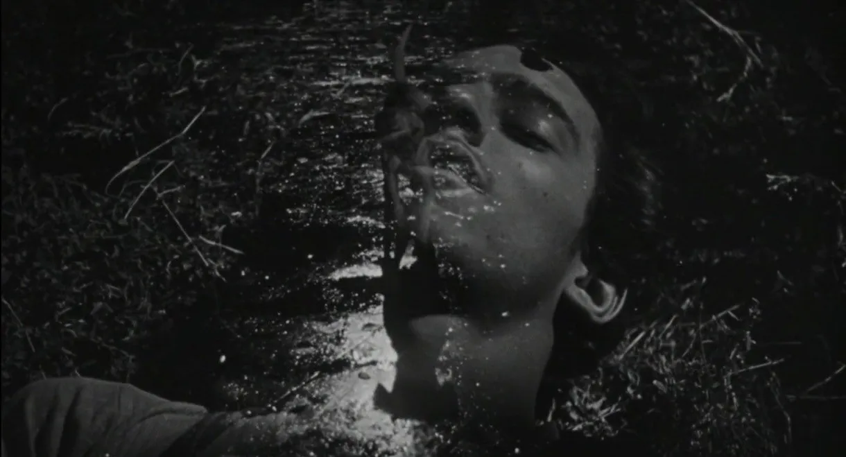 The Young and the Damned