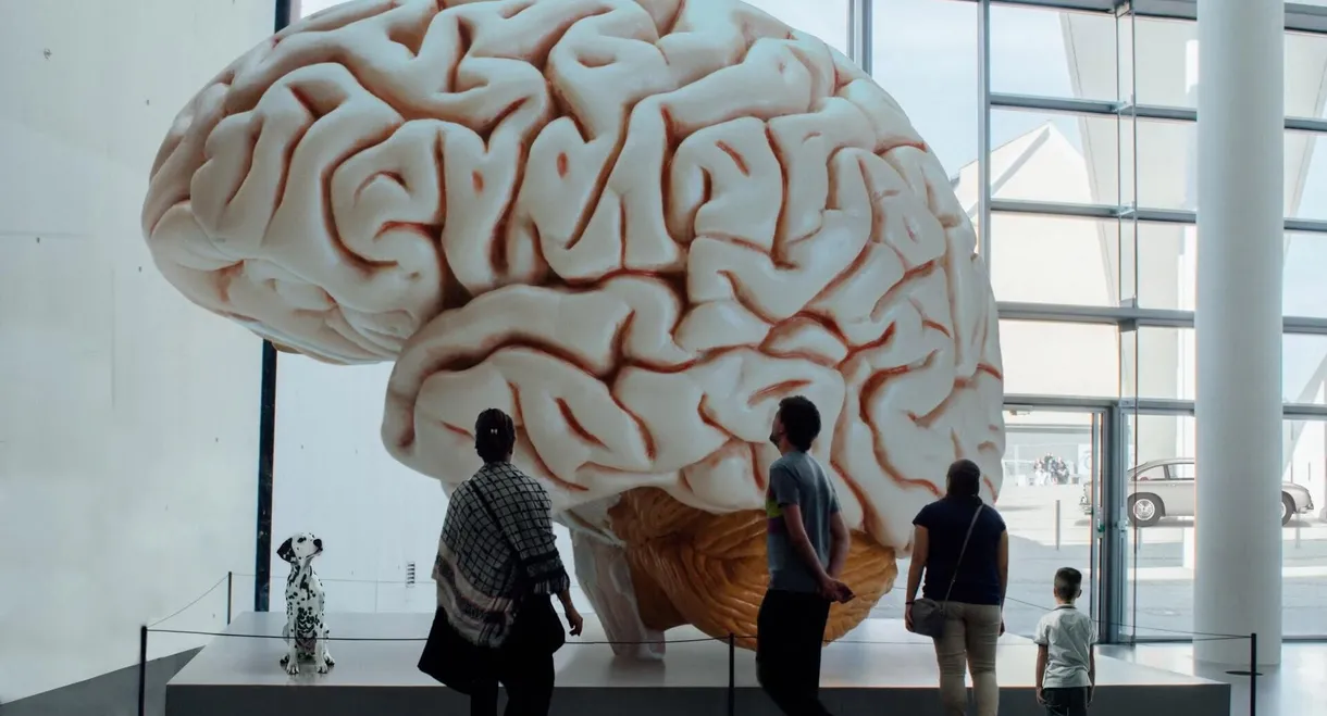 Rush - Hemispheres (40th Anniversary Edition)