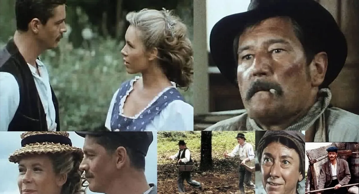 Des grives aux loups