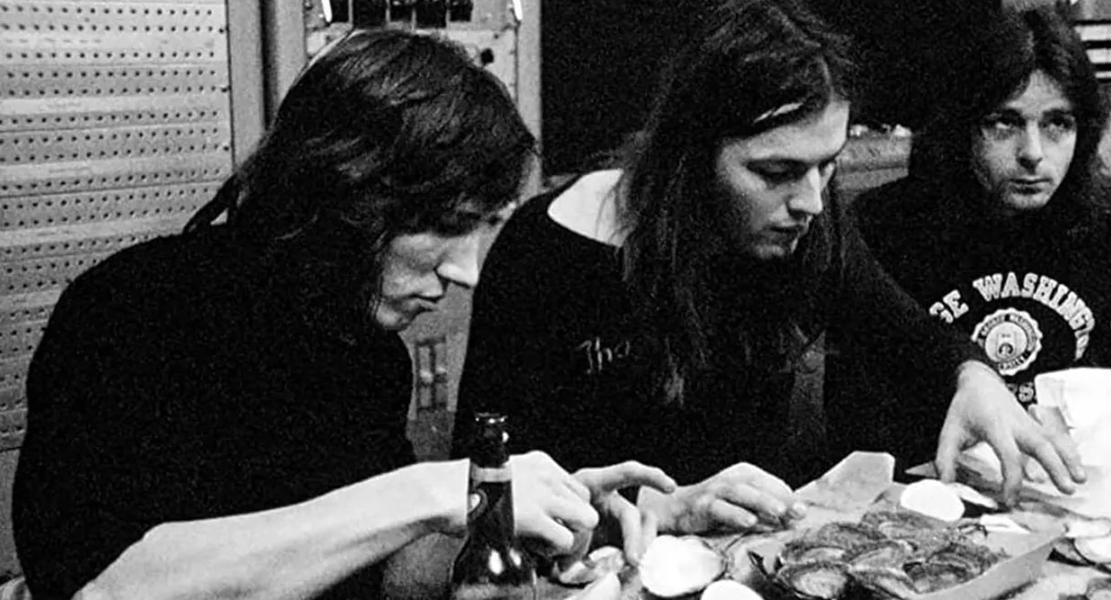 Chit Chat with Oysters