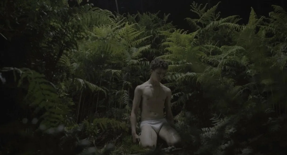 New Queer Visions: The Last Days of Innocence