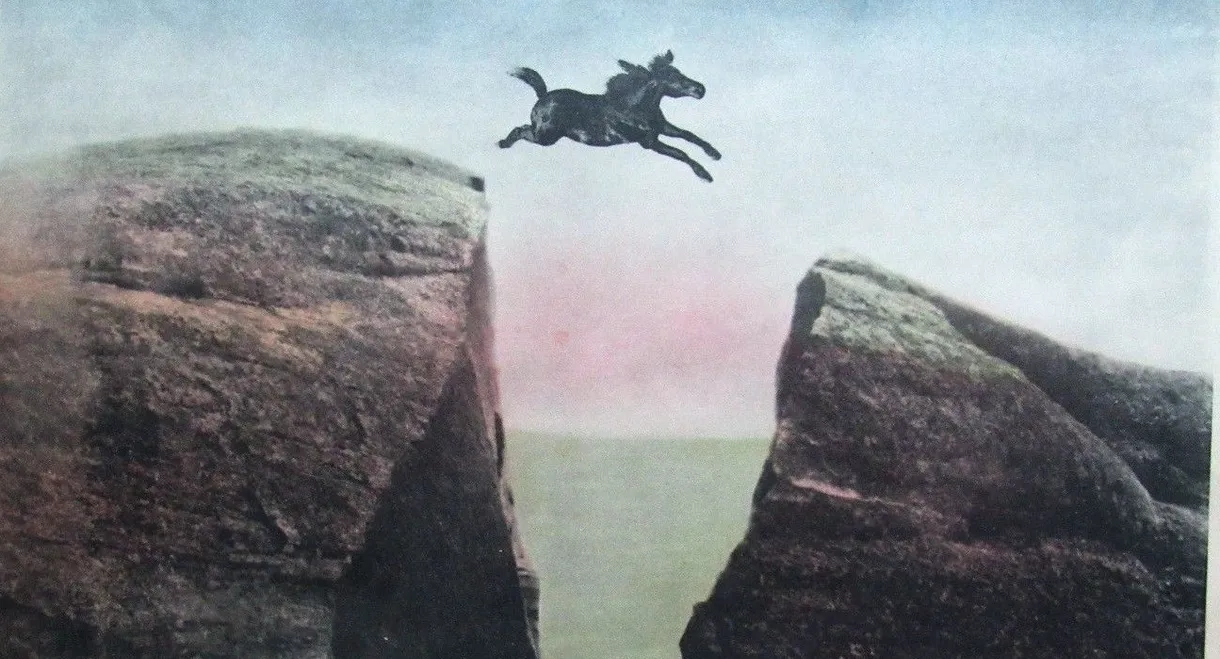 The King of the Wild Horses