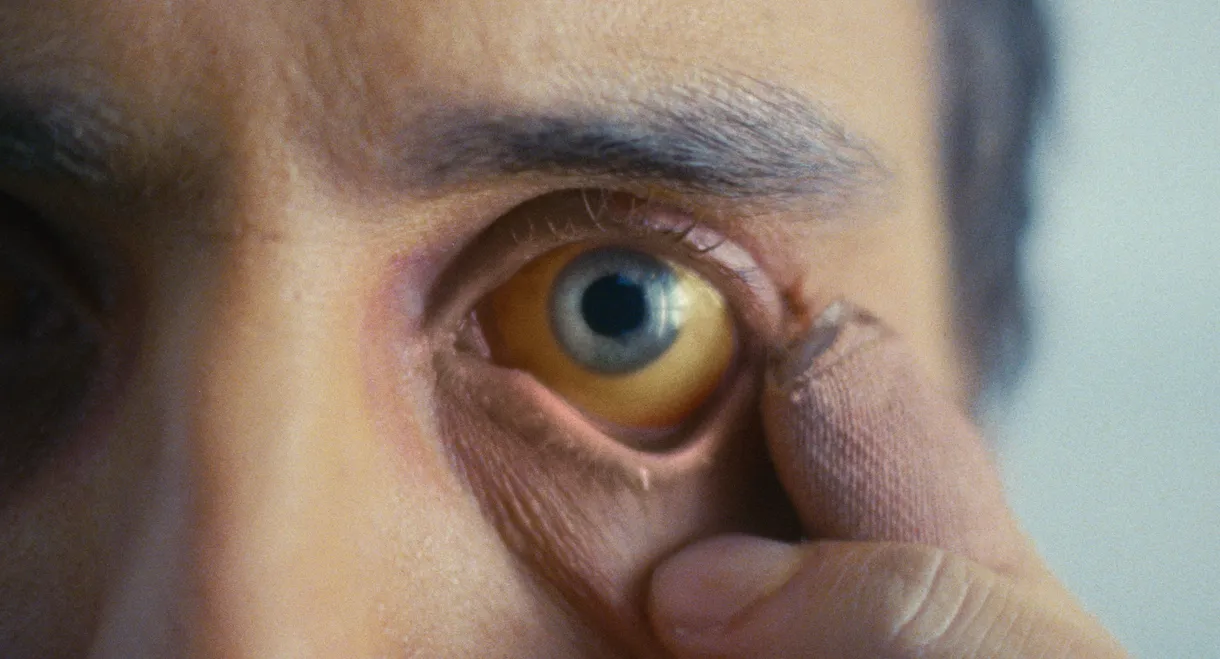 What We Wished We Could Be