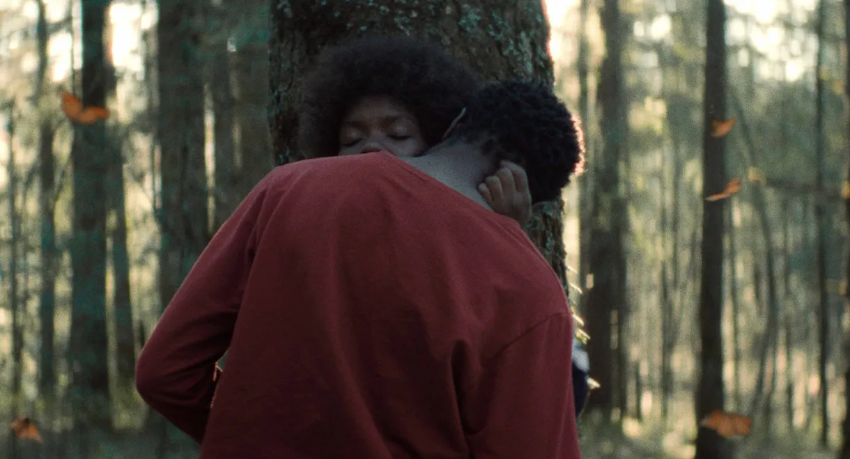 The Garden We Dreamed