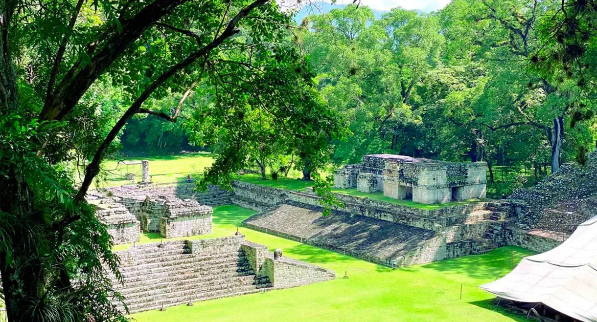 Fall Of The Maya Kings