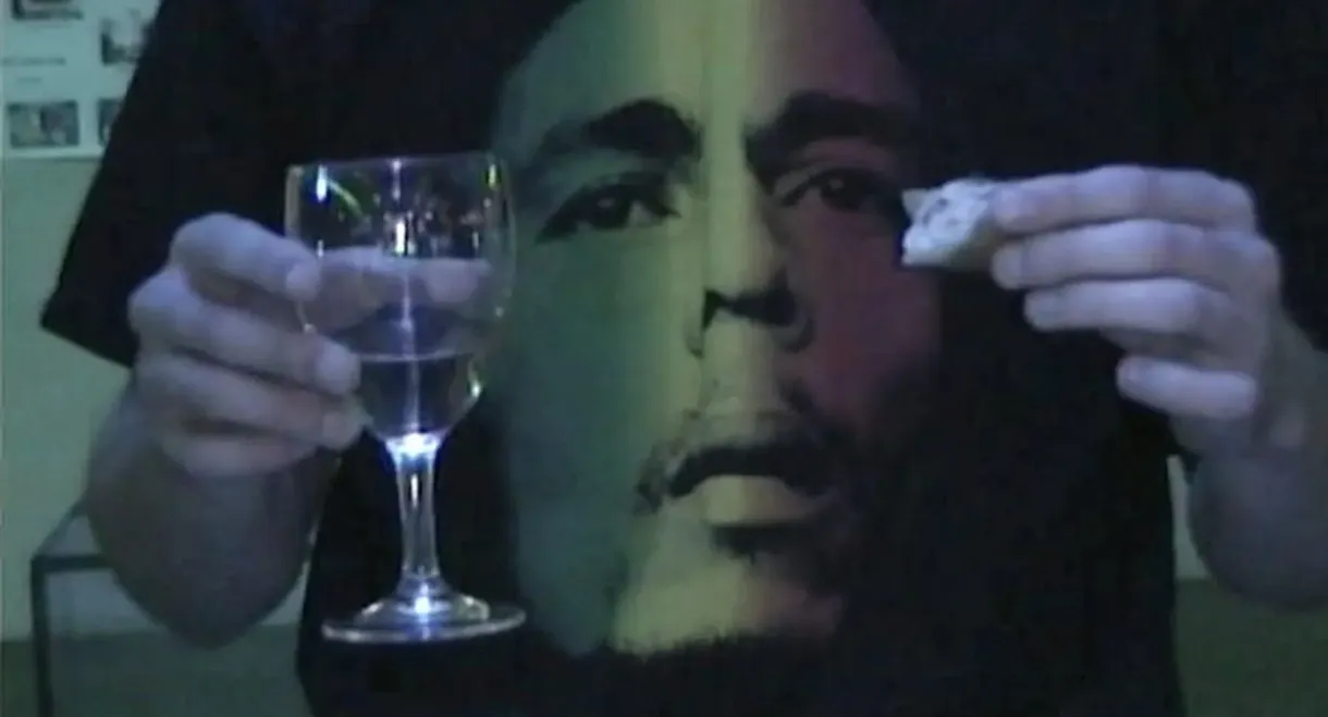 camcorder sony dcr-trv265e digital8