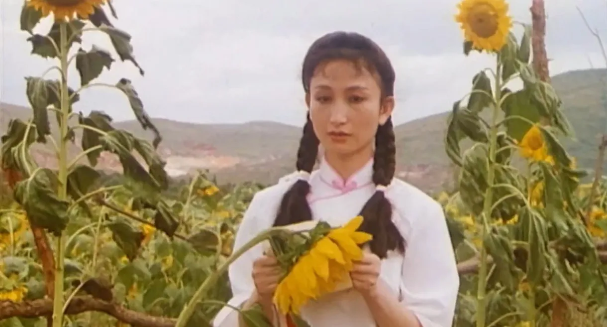 Qíngrén de xuè tèbié hóng