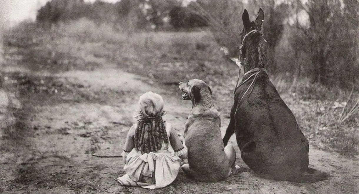 Through the Back Door