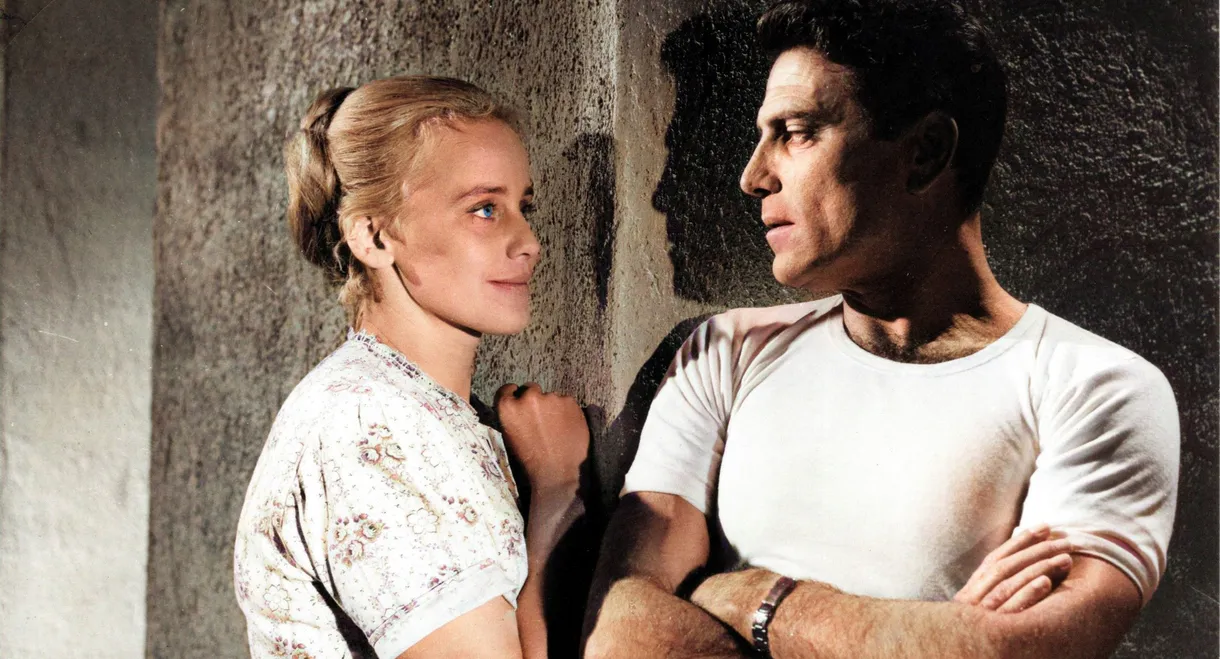 The Sins of Rose Bernd