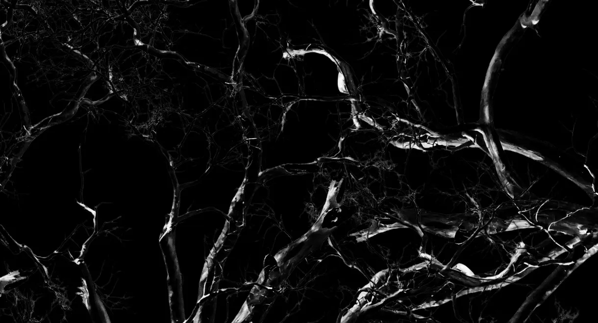 Dreams, Confessions and The End Of The World