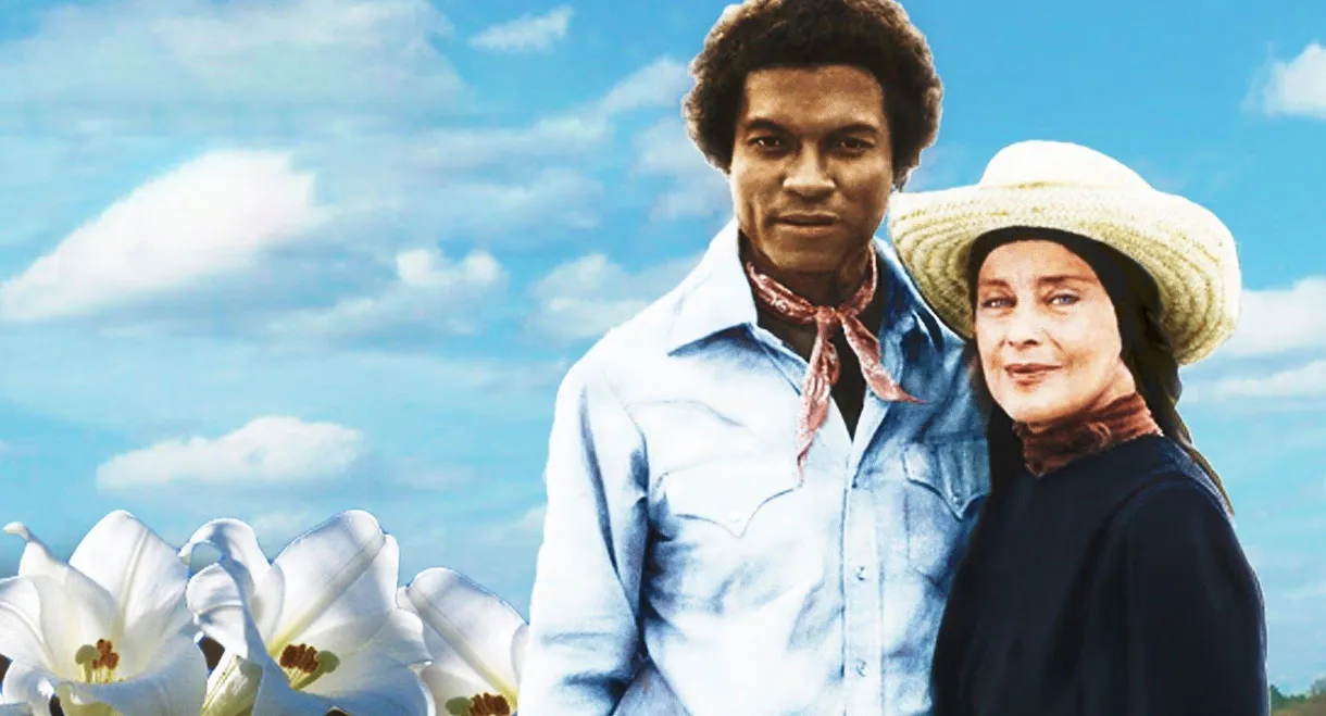 Christmas Lilies of the Field