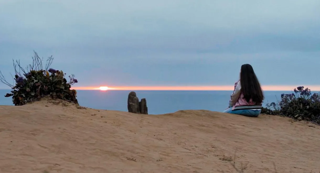 The Truth About Lying