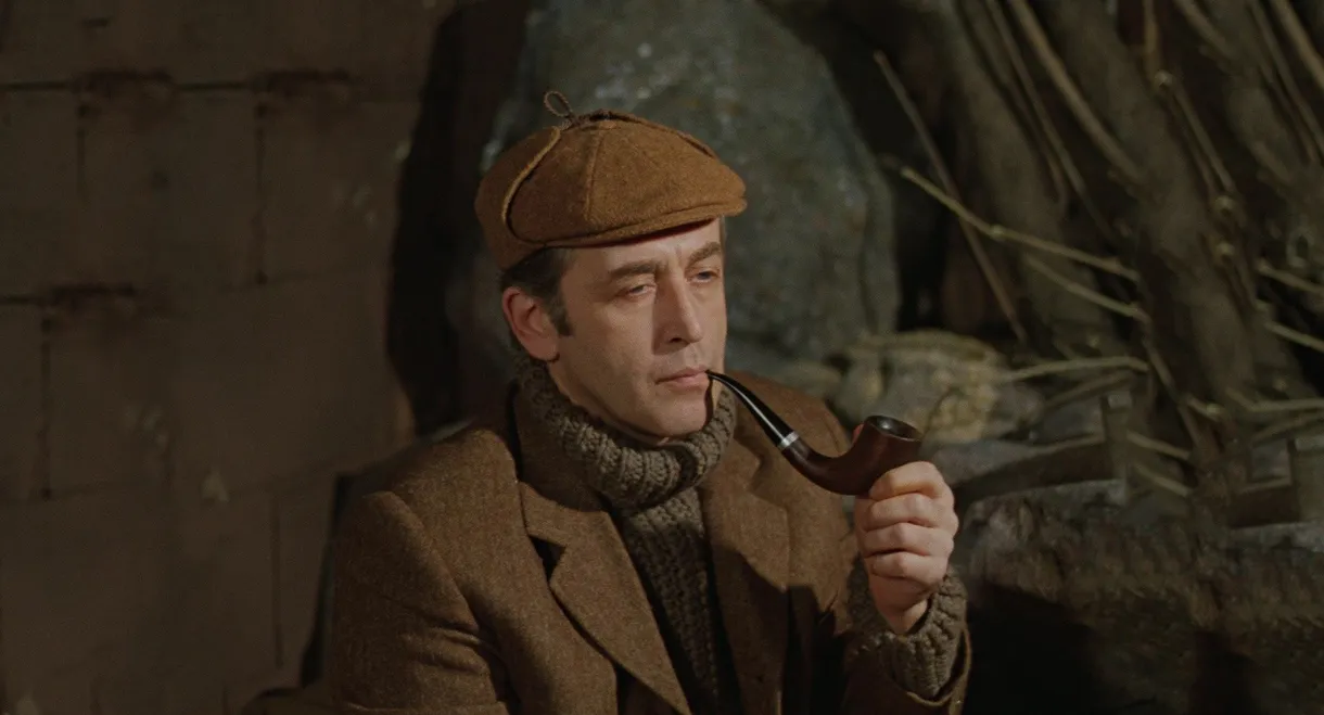 Sherlock Holmes and Dr. Watson: Acquaintance