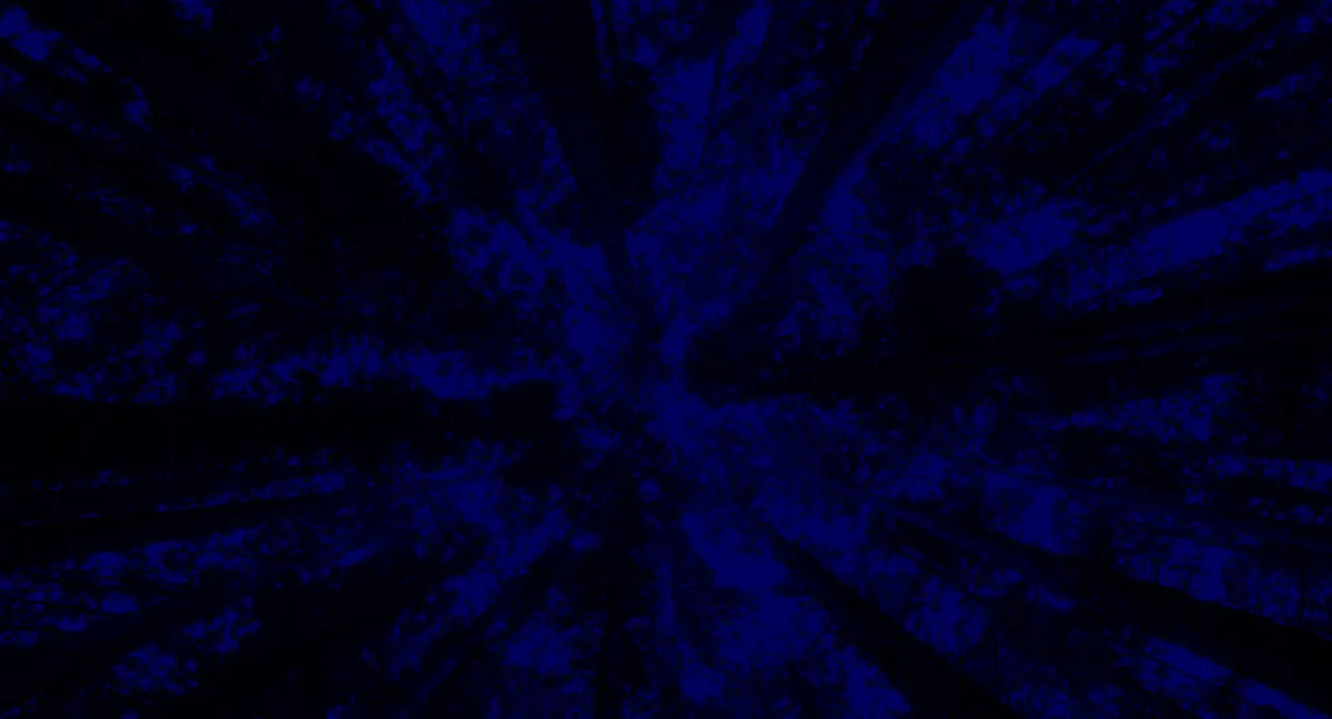 New York City Opera: A Little Night Music