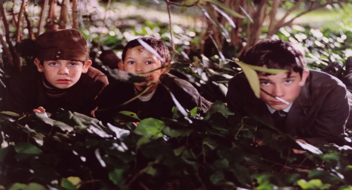 Die Jungen von der Paulstraße