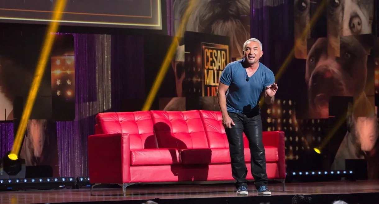Cesar Millan: Viva Las Vegas!