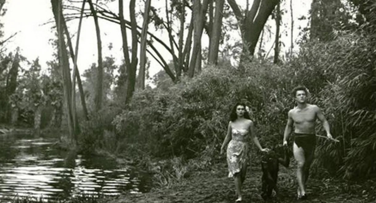 Bomba and the Hidden City