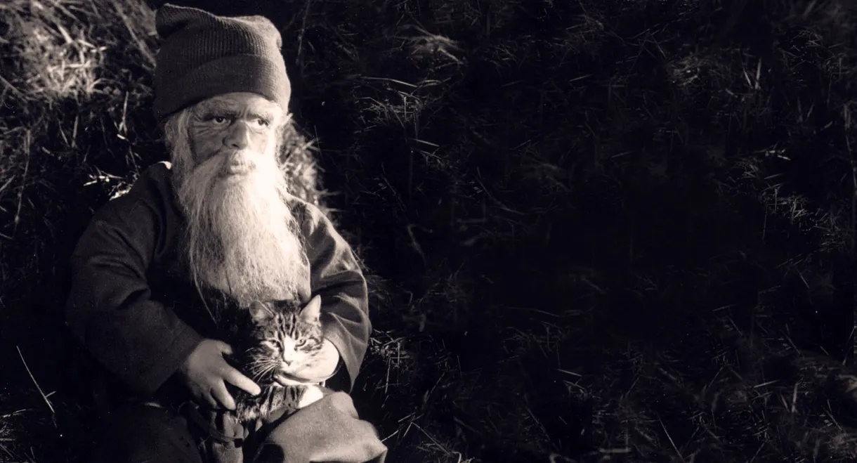 Tomten: A Winter Tale