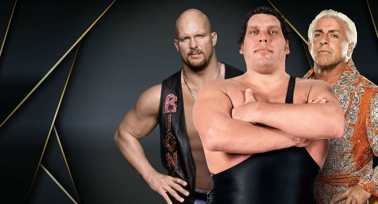 WWE Hall of Fame 2004