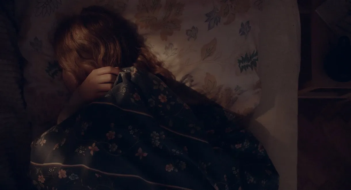 Dogs Do Not Eat Grass