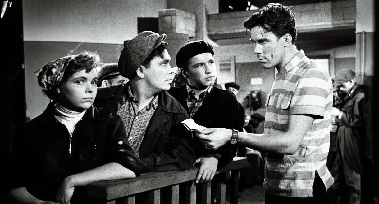 The Sun and the Rain