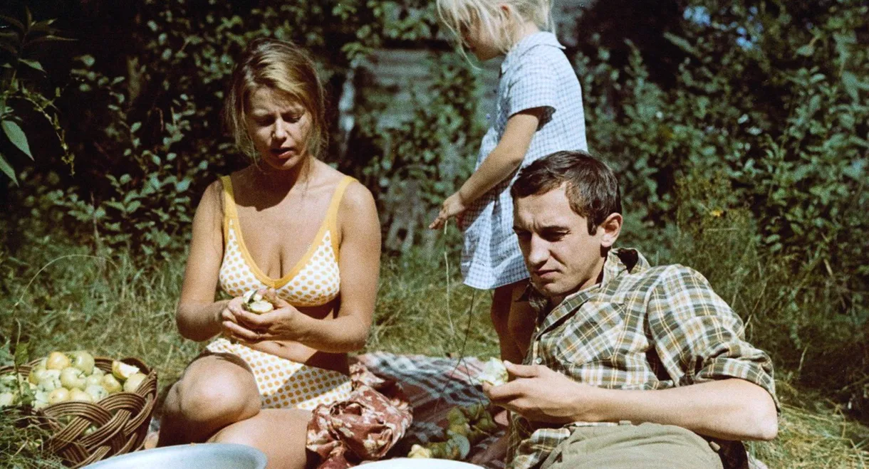 Summer Ends in Autumn