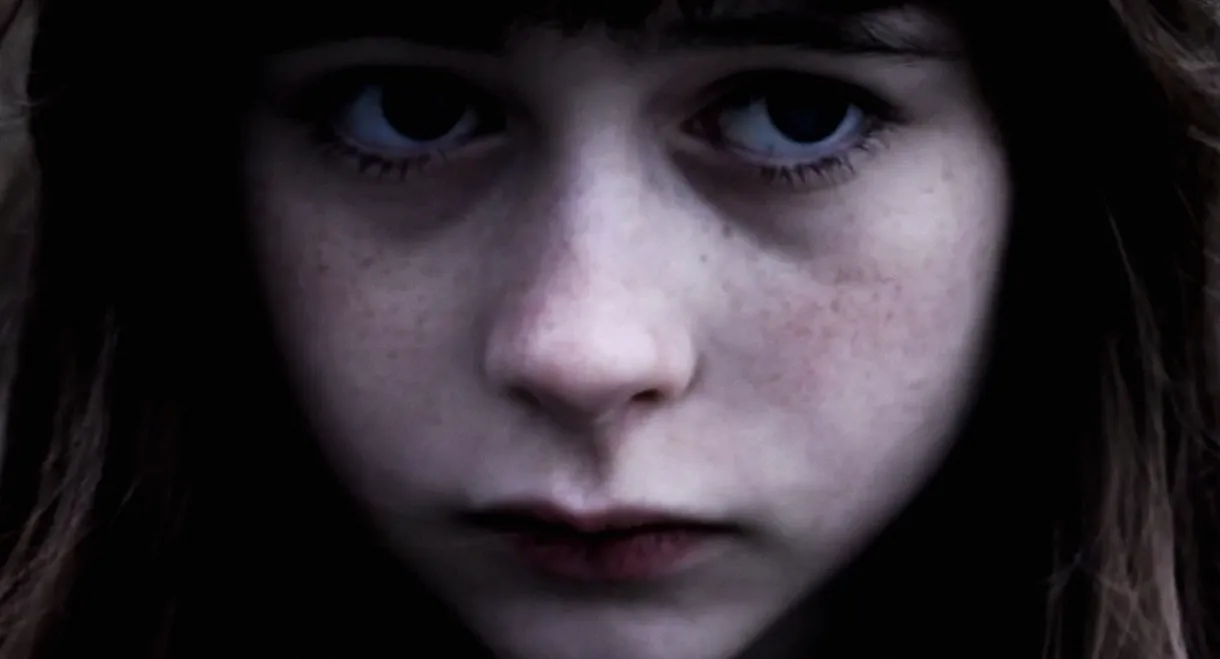 Pigeons Should Fly Freely In the Sky