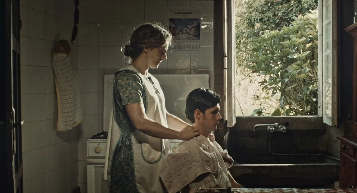 Cariñena, vino del mar