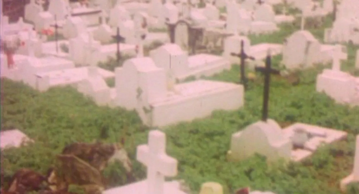 And the Dogs Were Silent