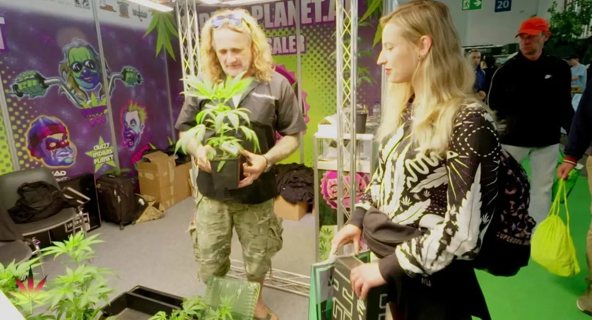 Bekifftes Deutschland – Zwischen Rausch und Realität