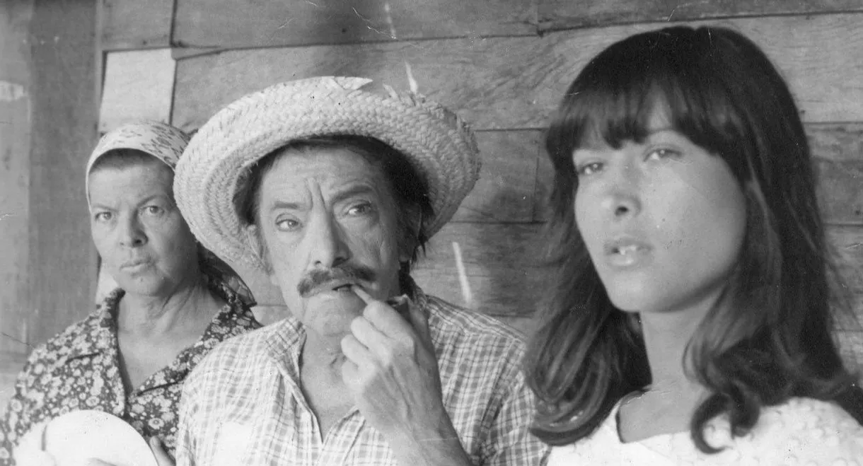 A Banda das Velhas Virgens