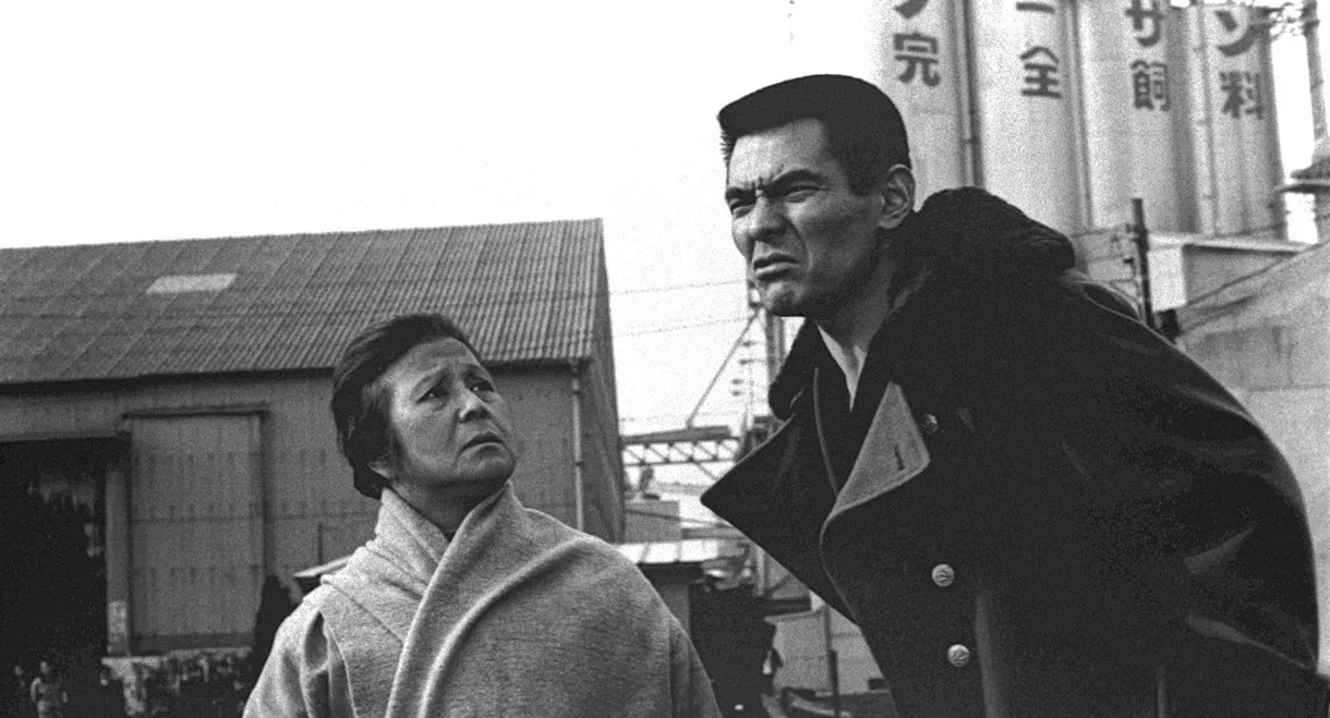 The Viper Brothers: Four and a Half Years in Jail