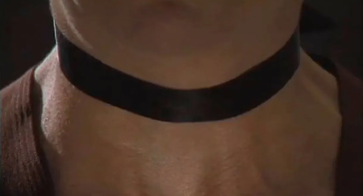 Vanished! A Video Seance