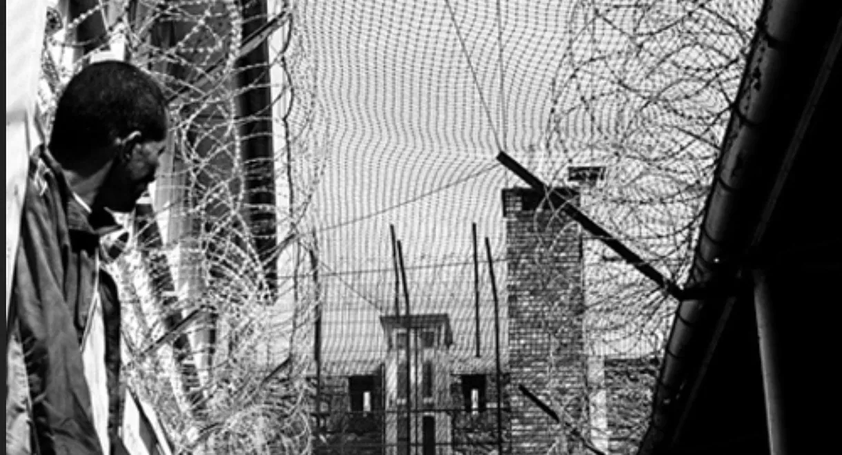 The Price of Freedom