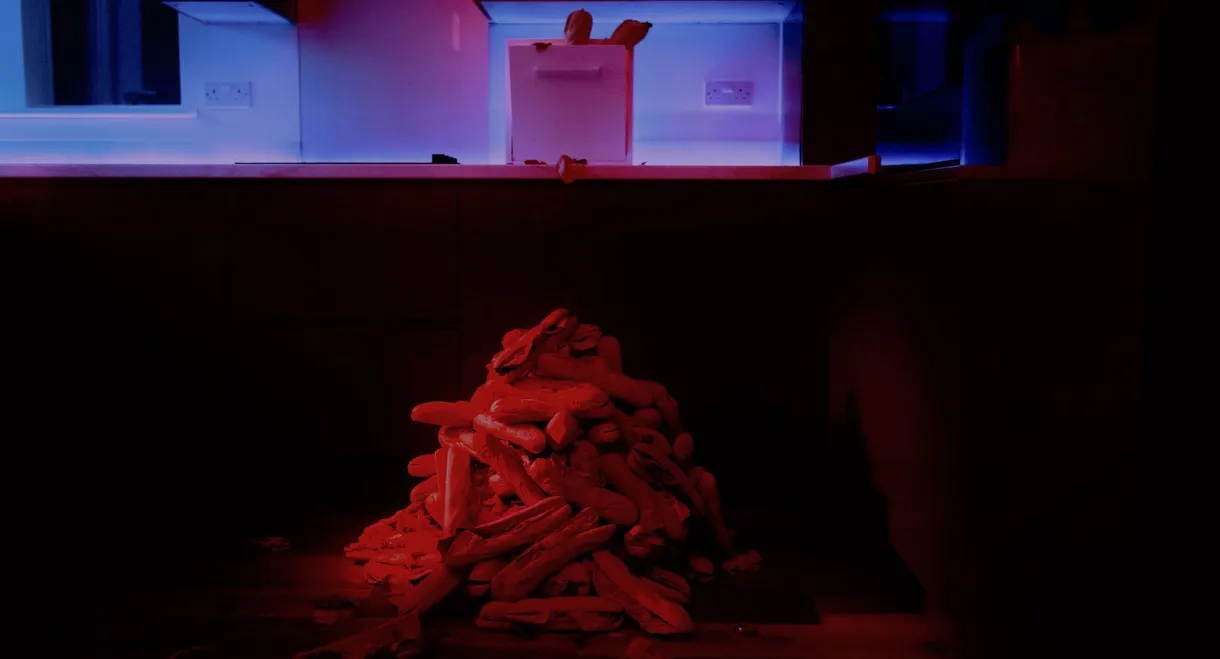 It's Dog to Make A Houseplant If You're Sandwich