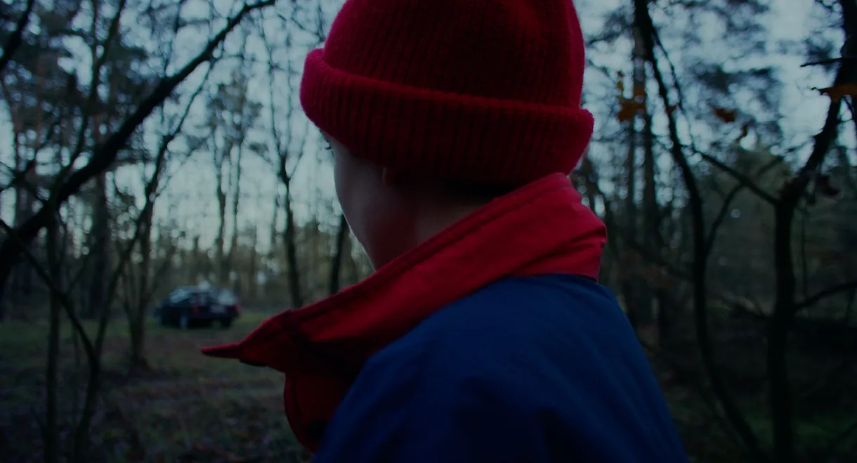 A Blackbird Sat on a Branch
