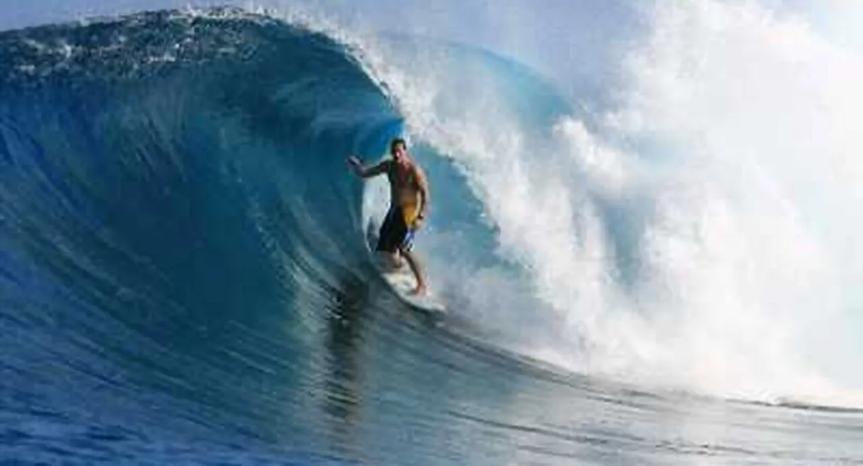 A Fly in the Champagne