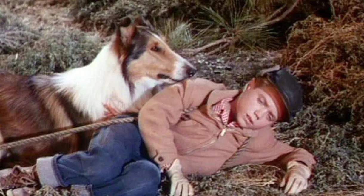 Lassie's Greatest Adventure