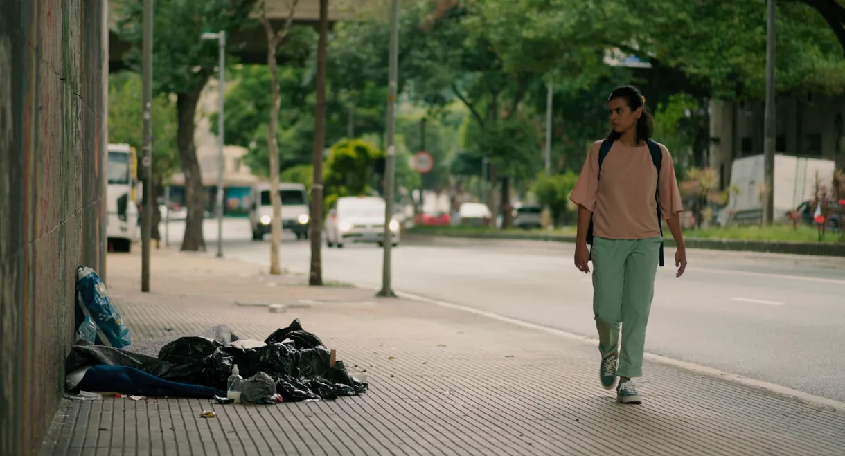 Vênus Visitou São Paulo