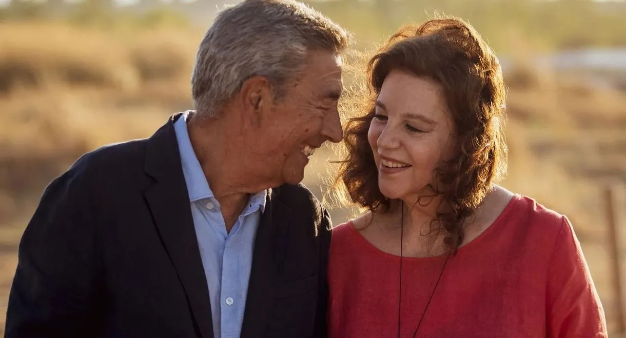 Never Too Late For Love