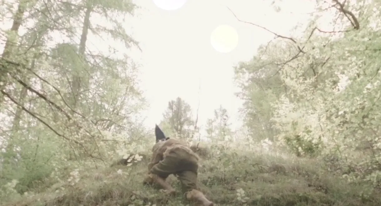 Rover of Meadow's Advent