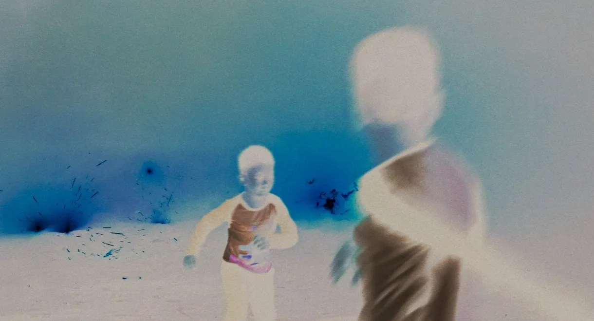 Paper Houses and Horses