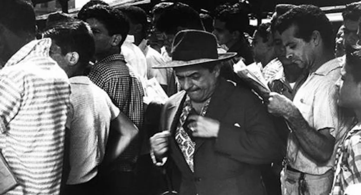 O Batedor de Carteiras